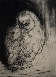 Hiboux et Chouettes nº 7, retrato de un búho por Marjan Seyedin