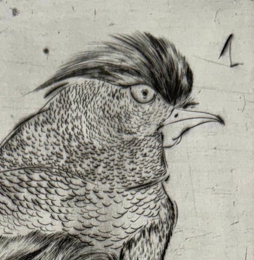 Oiseaux #1, da una serie sugli uccelli di Marjan Seyedin in vendita 2