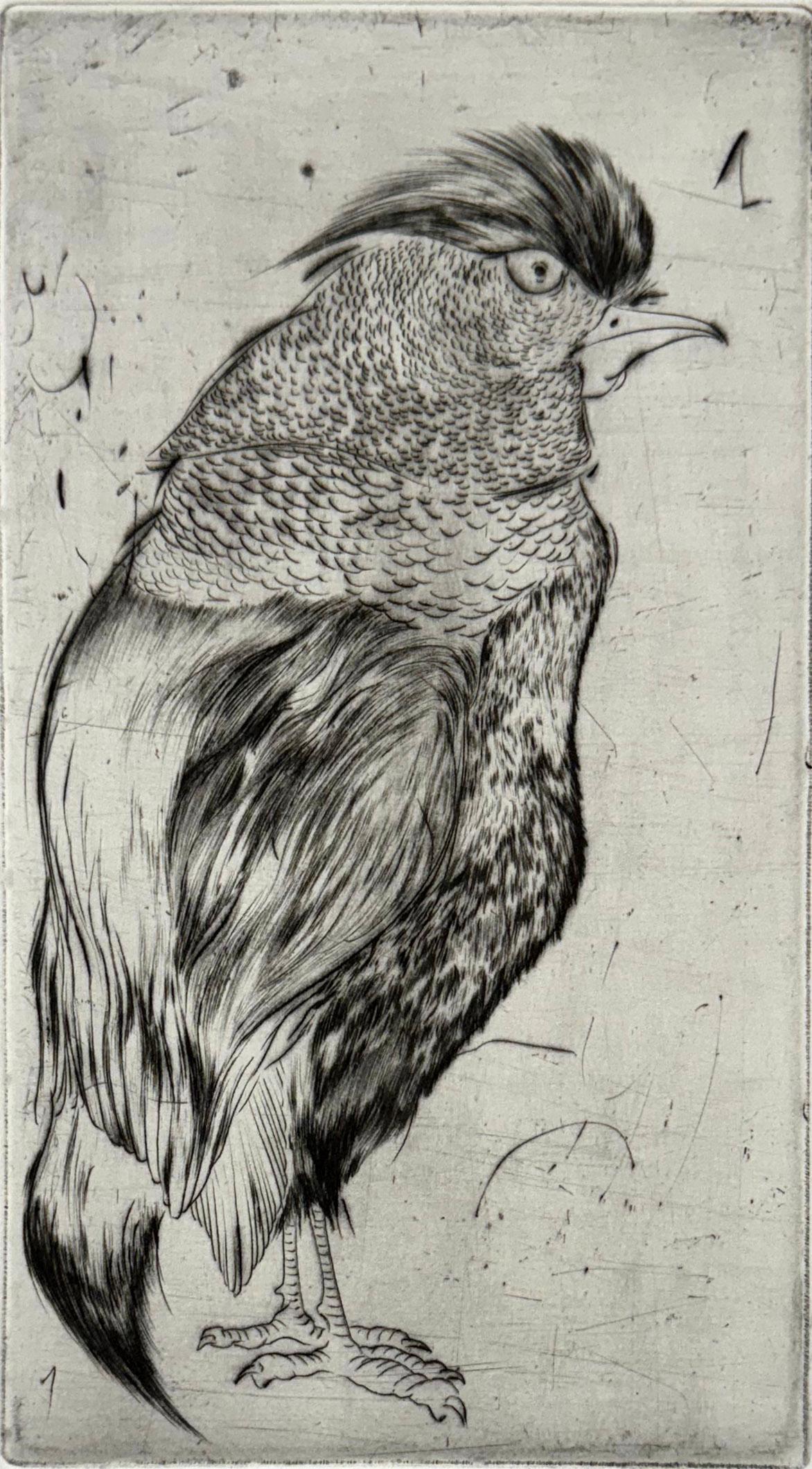 Oiseaux nº 1, de una serie sobre aves de Marjan Seyedin