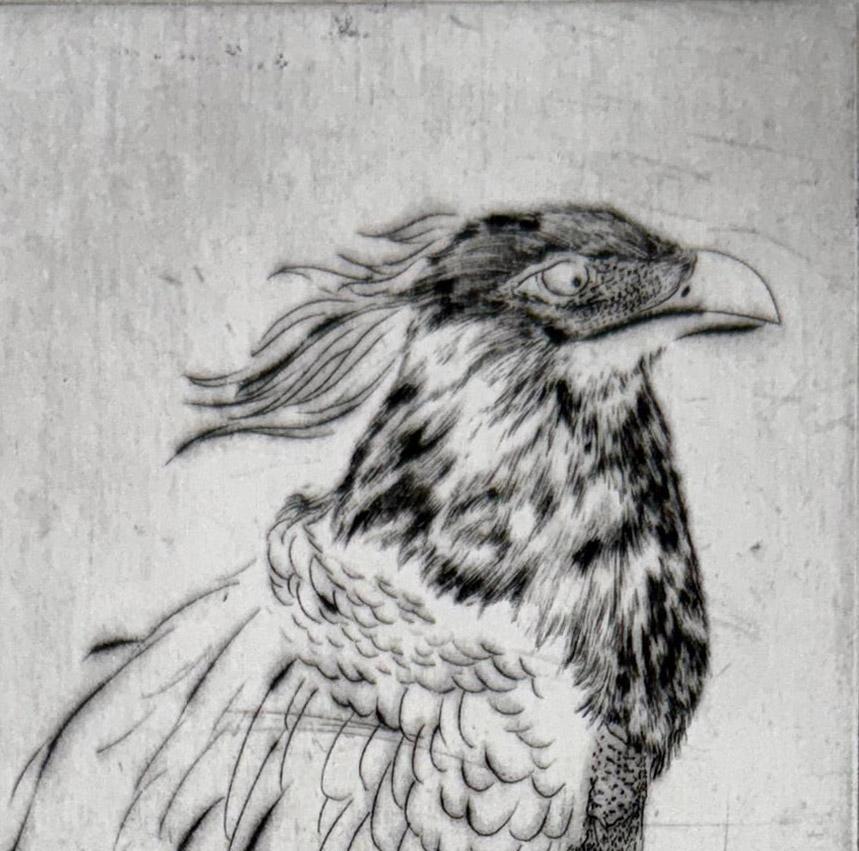 Oiseaux #13, de una serie sobre aves de Marjan Seyedin en venta 1