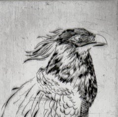 Oiseaux #13, aus einer Serie über Vögel von Marjan Seyedin