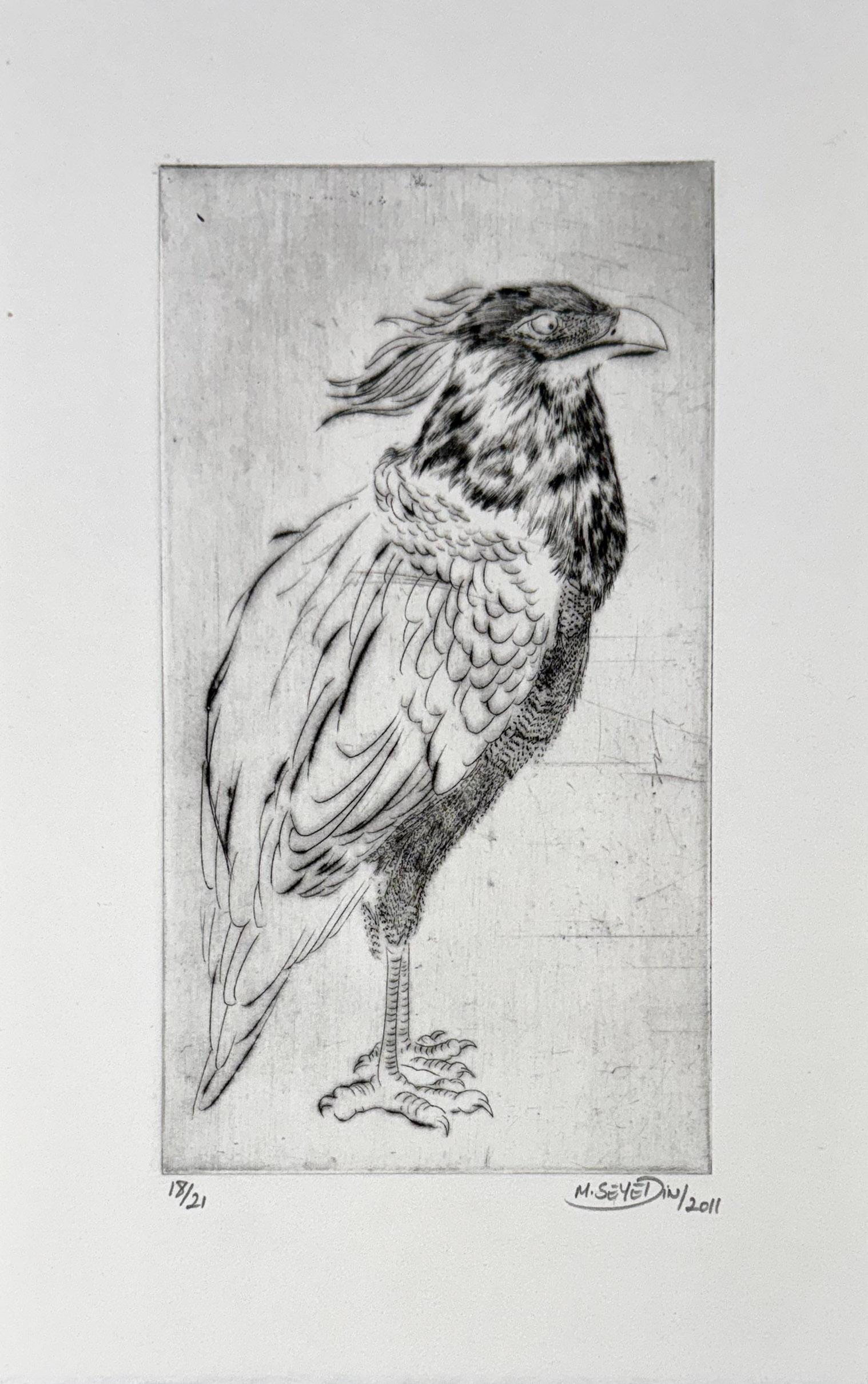 Oiseaux #13, de una serie sobre aves de Marjan Seyedin en venta 2