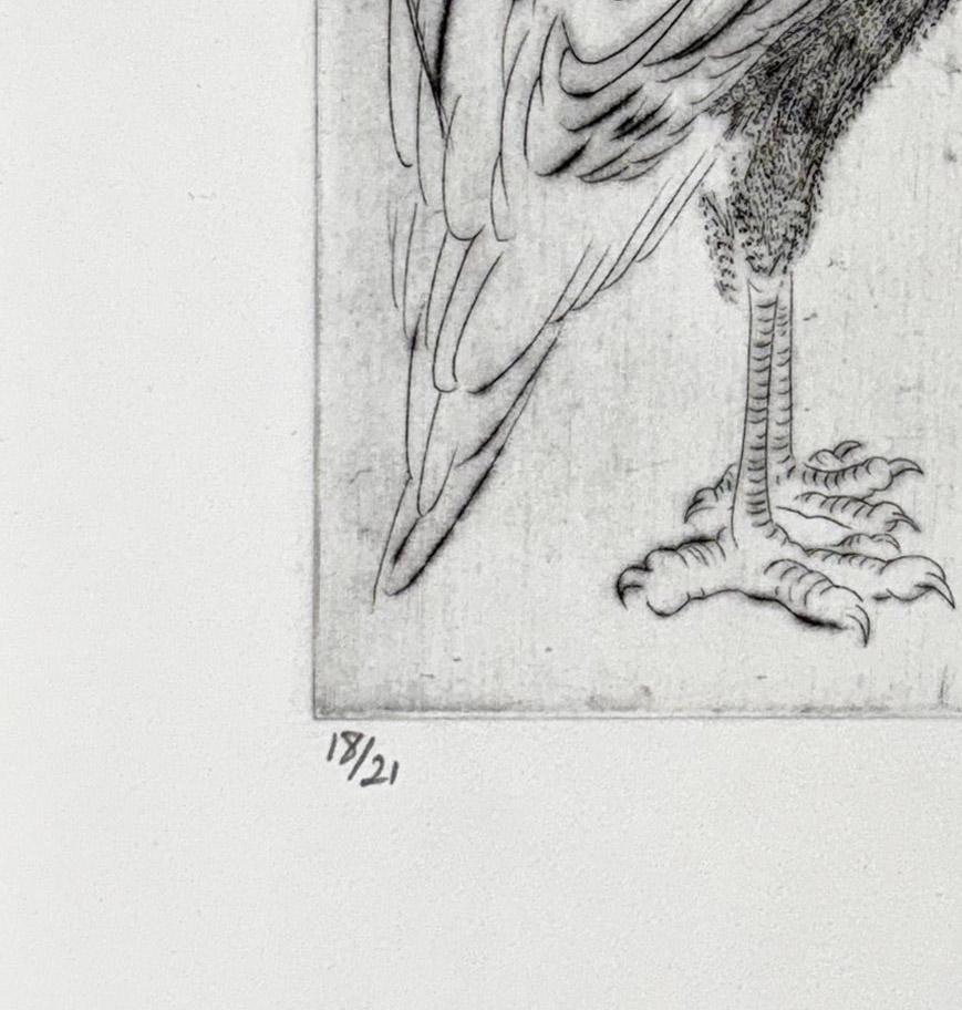 Oiseaux #13, de una serie sobre aves de Marjan Seyedin en venta 3