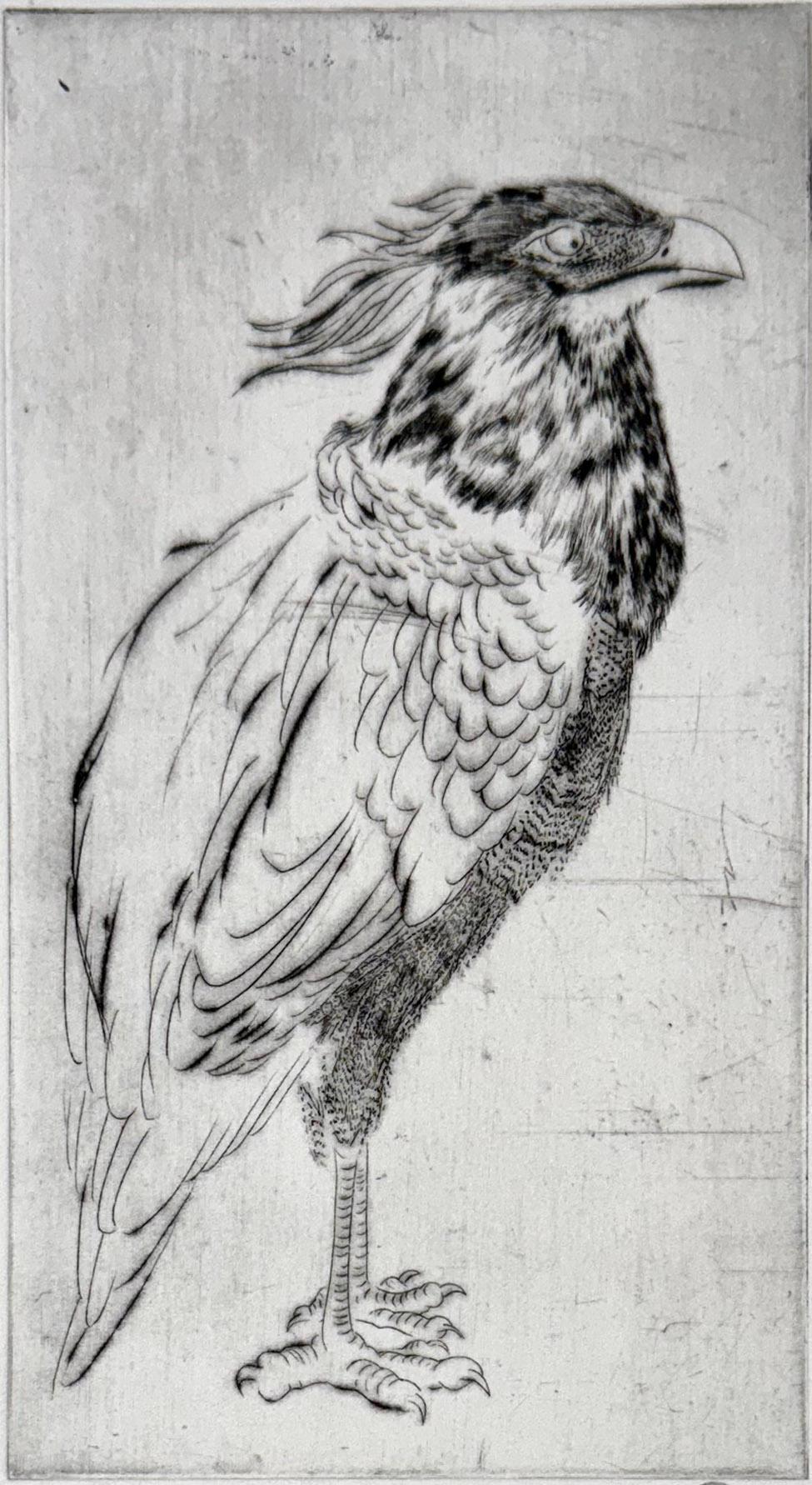 Oiseaux #13, de una serie sobre aves de Marjan Seyedin