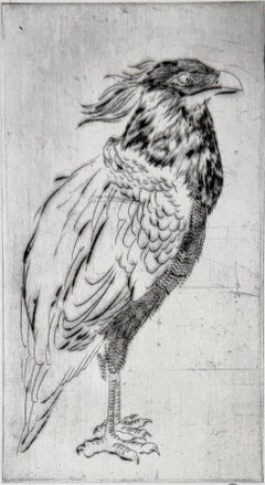 Oiseaux #13, de una serie sobre aves de Marjan Seyedin