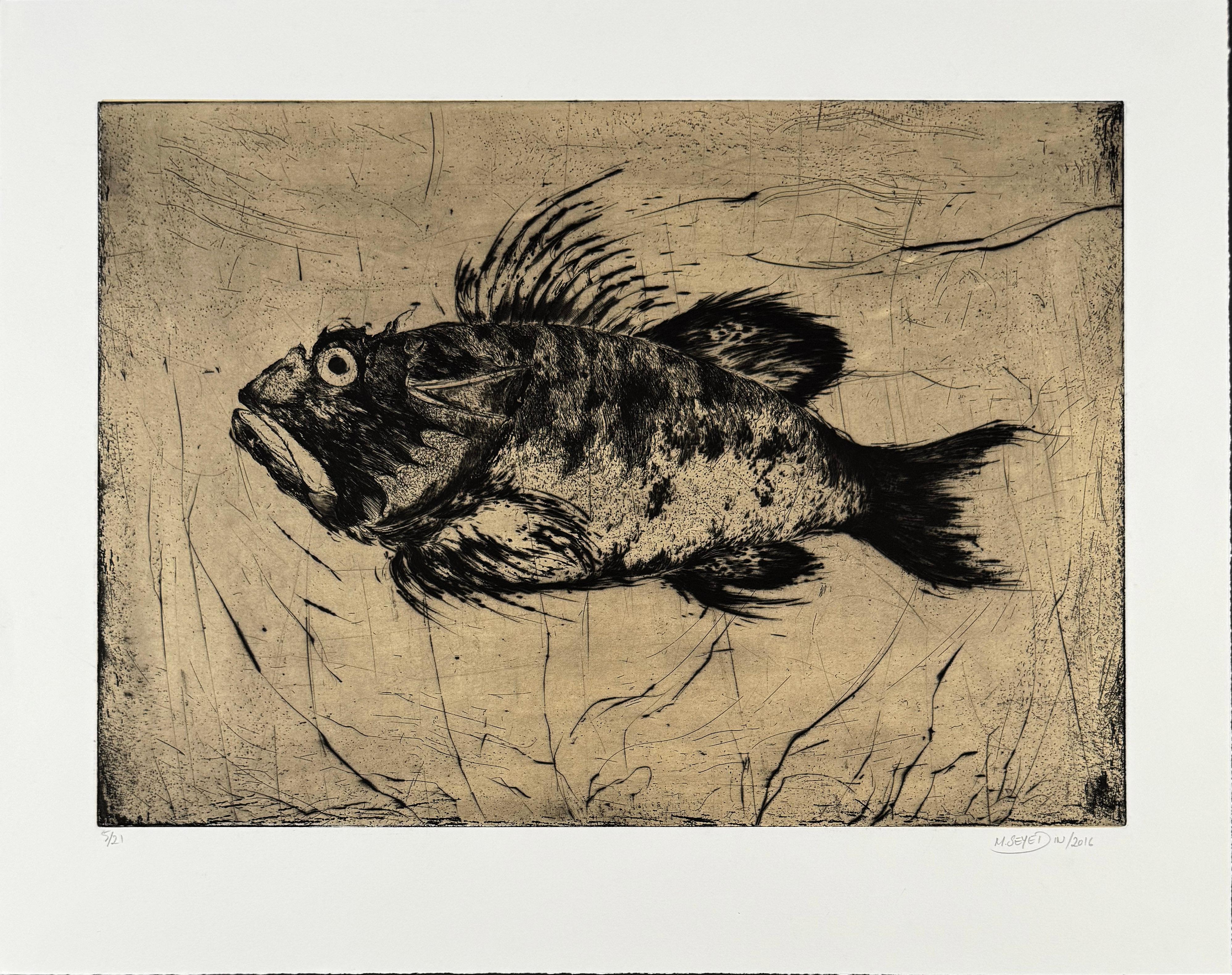 Poisson #3, etching of a fish by Marjan Seyedin For Sale 1