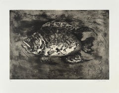 Poisson #5, etching of a fish by Marjan Seyedin