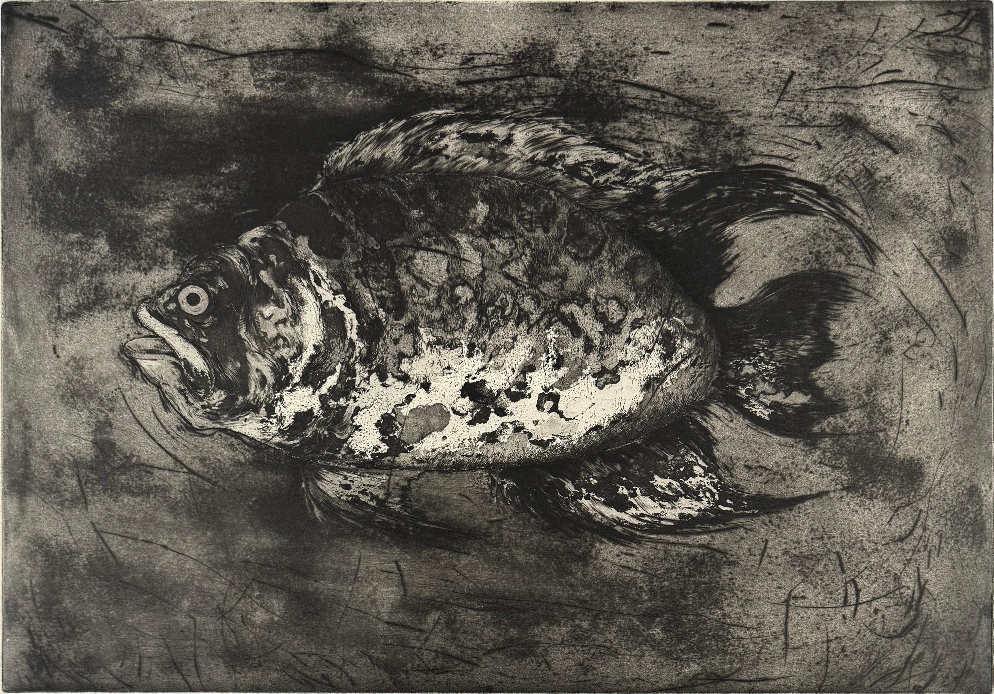 Poisson #5, etching of a fish by Marjan Seyedin