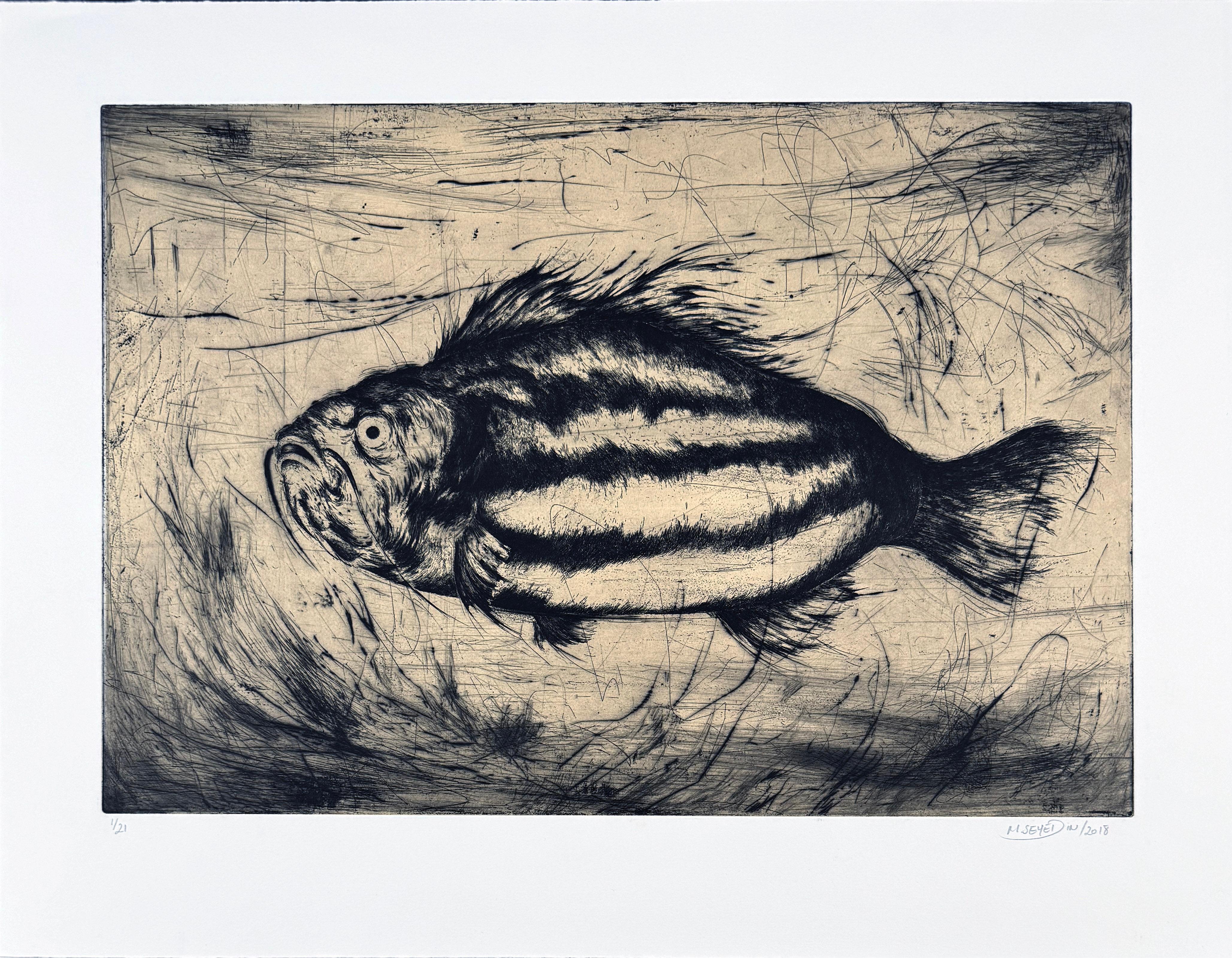 Poisson #6, etching of a fish by Marjan Seyedin For Sale 2
