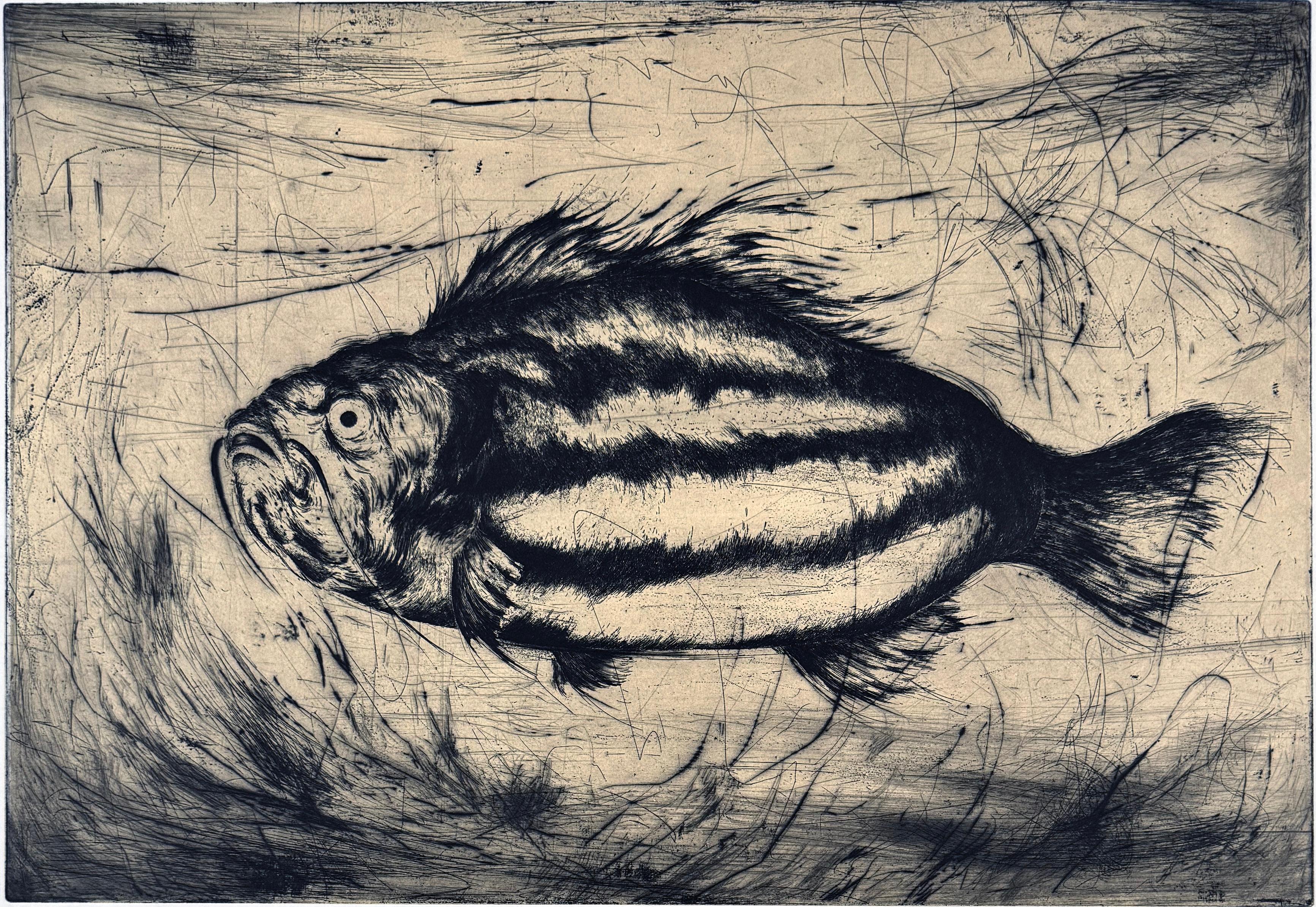 One of 6 prints of fish created by Franco-Iranian artist Marjan Seyedin. In her works, birds and animals provide an allegorical representation for mankind.  Marjan has a contemporary and poetic reinterpretation of classical engraving techniques,