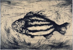 Poisson #6, etching of a fish by Marjan Seyedin