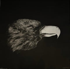 TÊTE D'AIGLE, etching of eagle by Marjan Seyedin