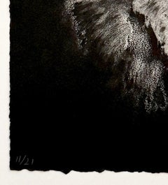 TÊTES DE HIBOUX #2, portrait of an owl by Marjan Seyedin