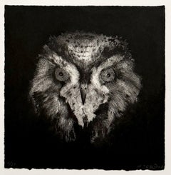 TÊTES DE HIBOUX #2, portrait of an owl by Marjan Seyedin