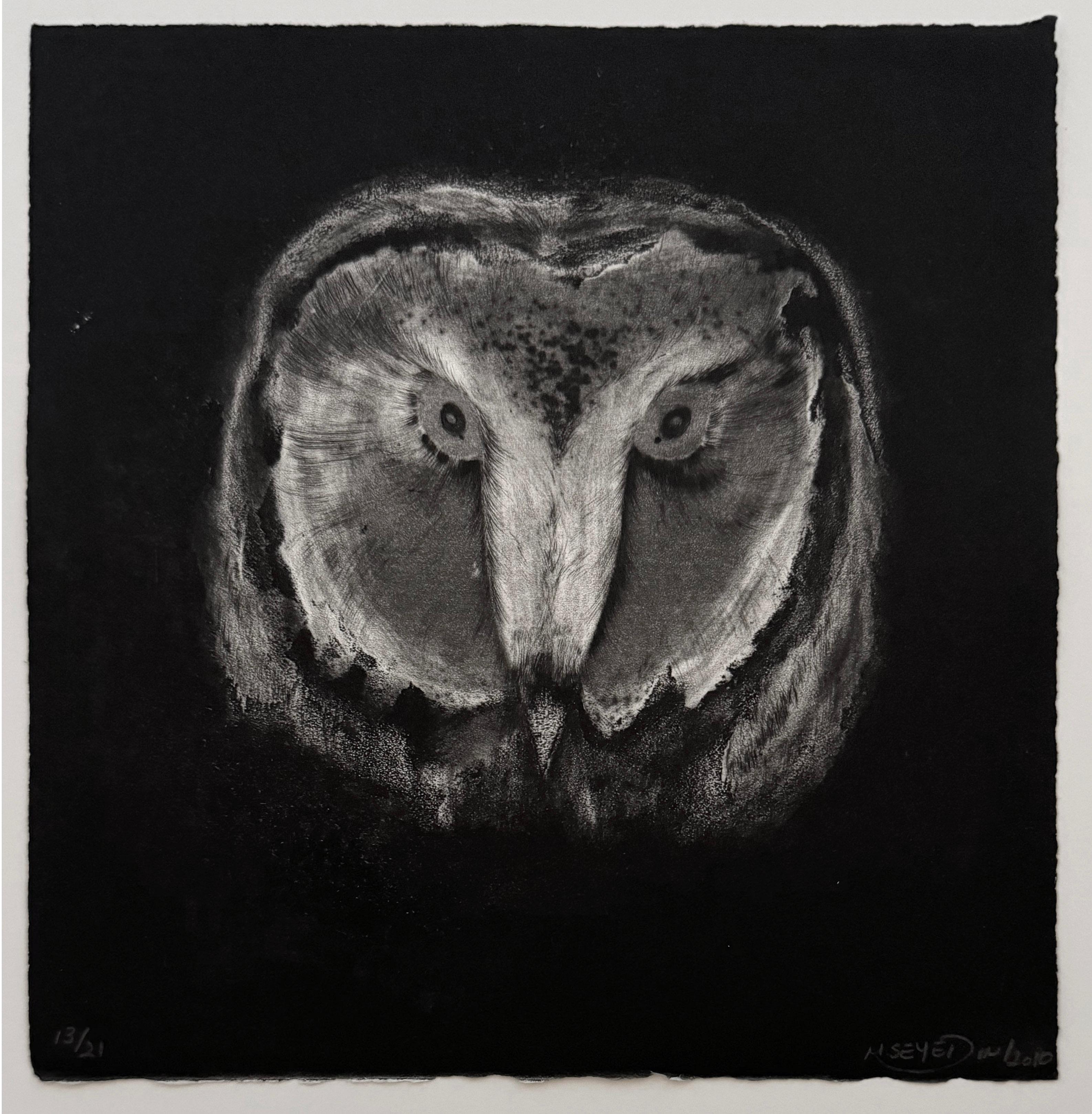 Retrato de la cabeza de un búho sobre fondo negro. La imagen está impresa en el borde de la hoja. por la artista franco-iraní Marjan Seyedin. En sus obras, los pájaros y los animales constituyen una representación alegórica de la humanidad.  Marjan