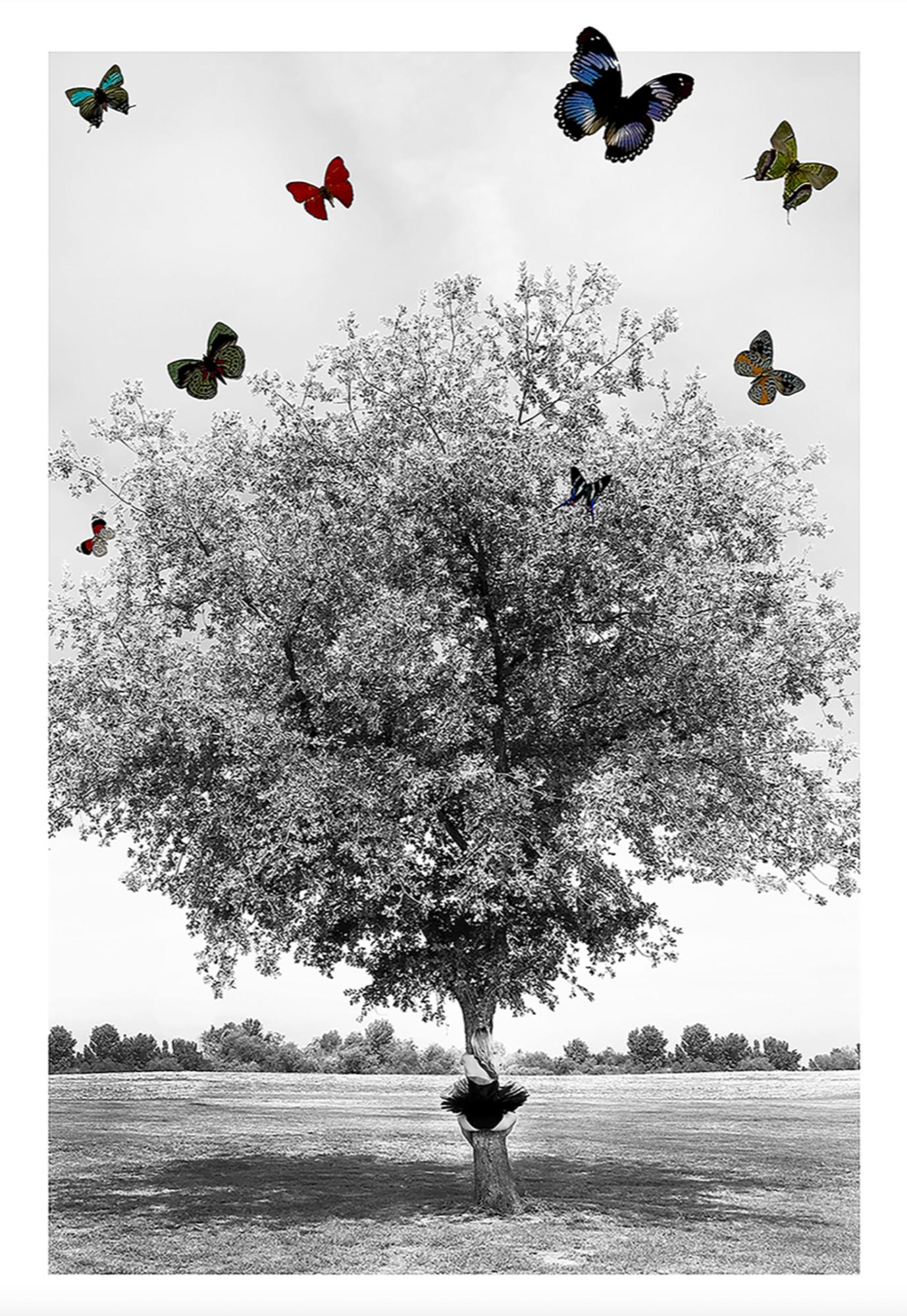 You Are Not a Tree
