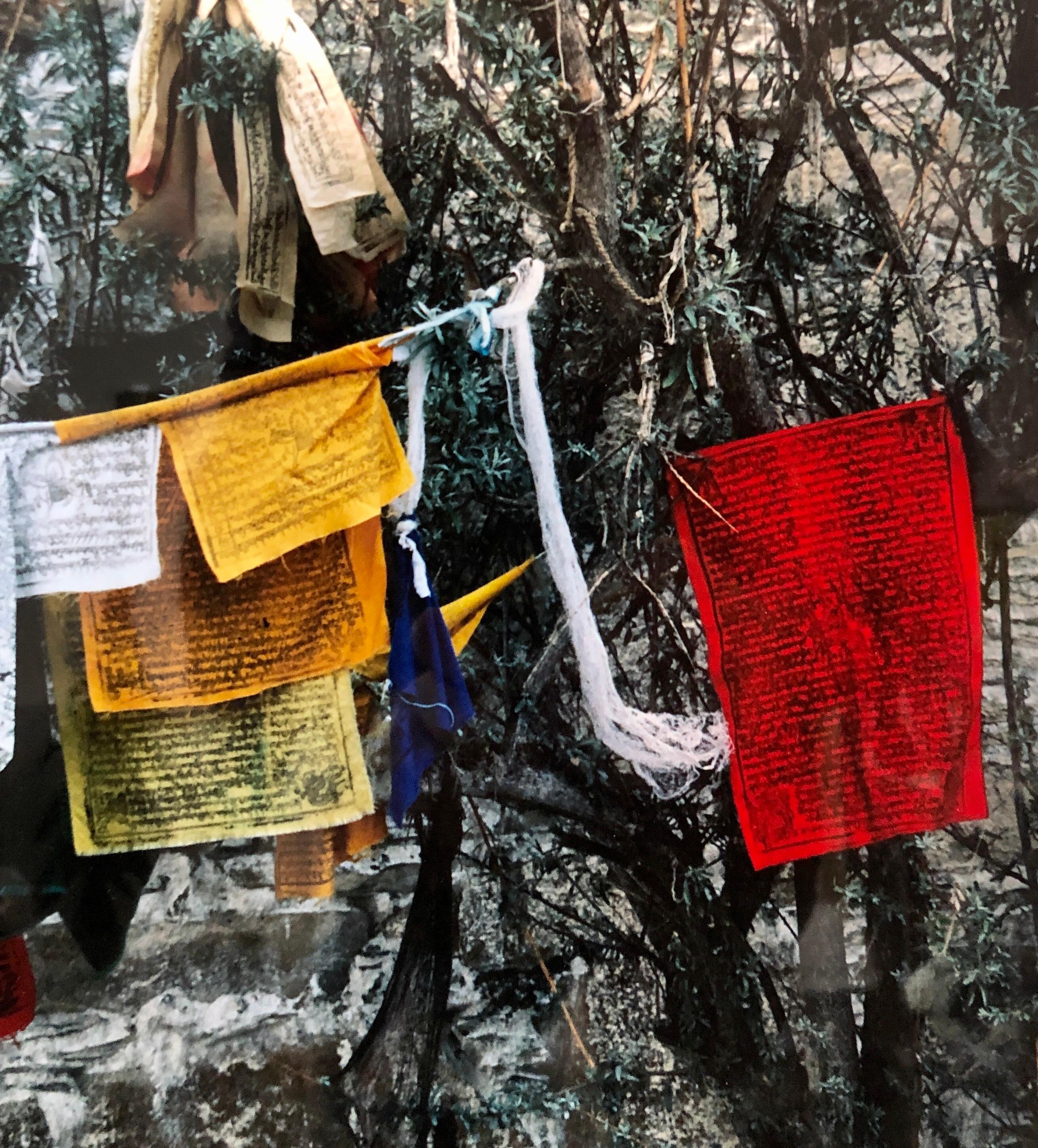 Fotografia d'epoca Cibachrome Bandiere di preghiera tibetane Stampa fotografica colorata e vibrante in vendita 2