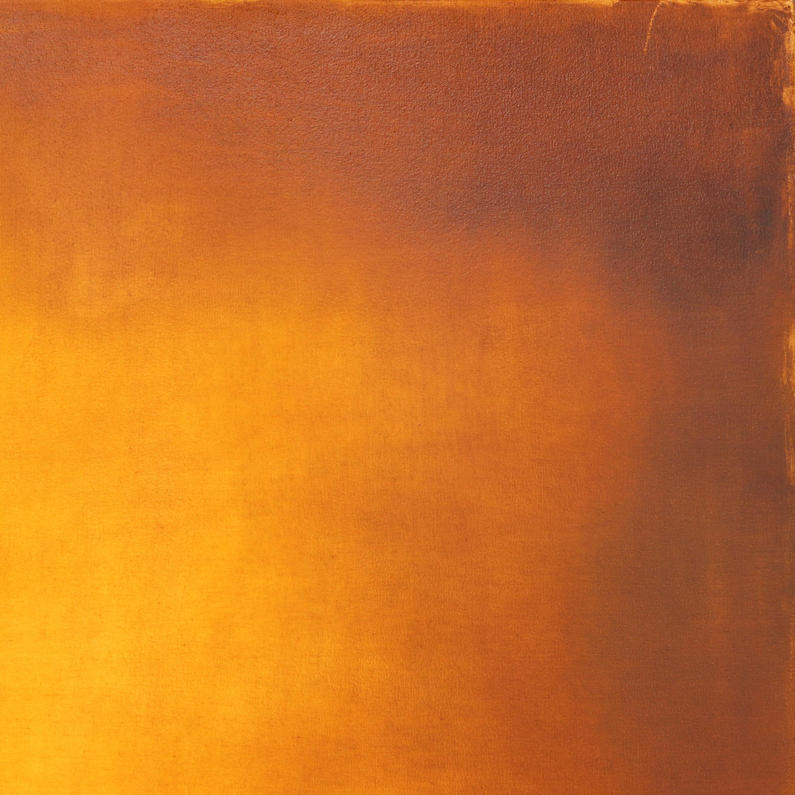 I dipinti a olio e a tecnica mista di Mark Acetelli risvegliano il senso di esplorazione e di avventura dell'osservatore; richiedono una nuova scoperta. Le sue opere mostrano una chimica di complessità e spontaneità, un'astrazione lirica di segni