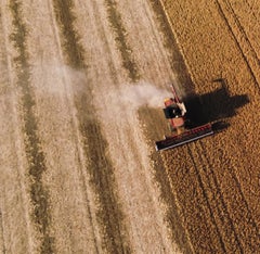 Harvest - jaune, marron, figuratif abstrait, surréaliste, photographie sur dibond