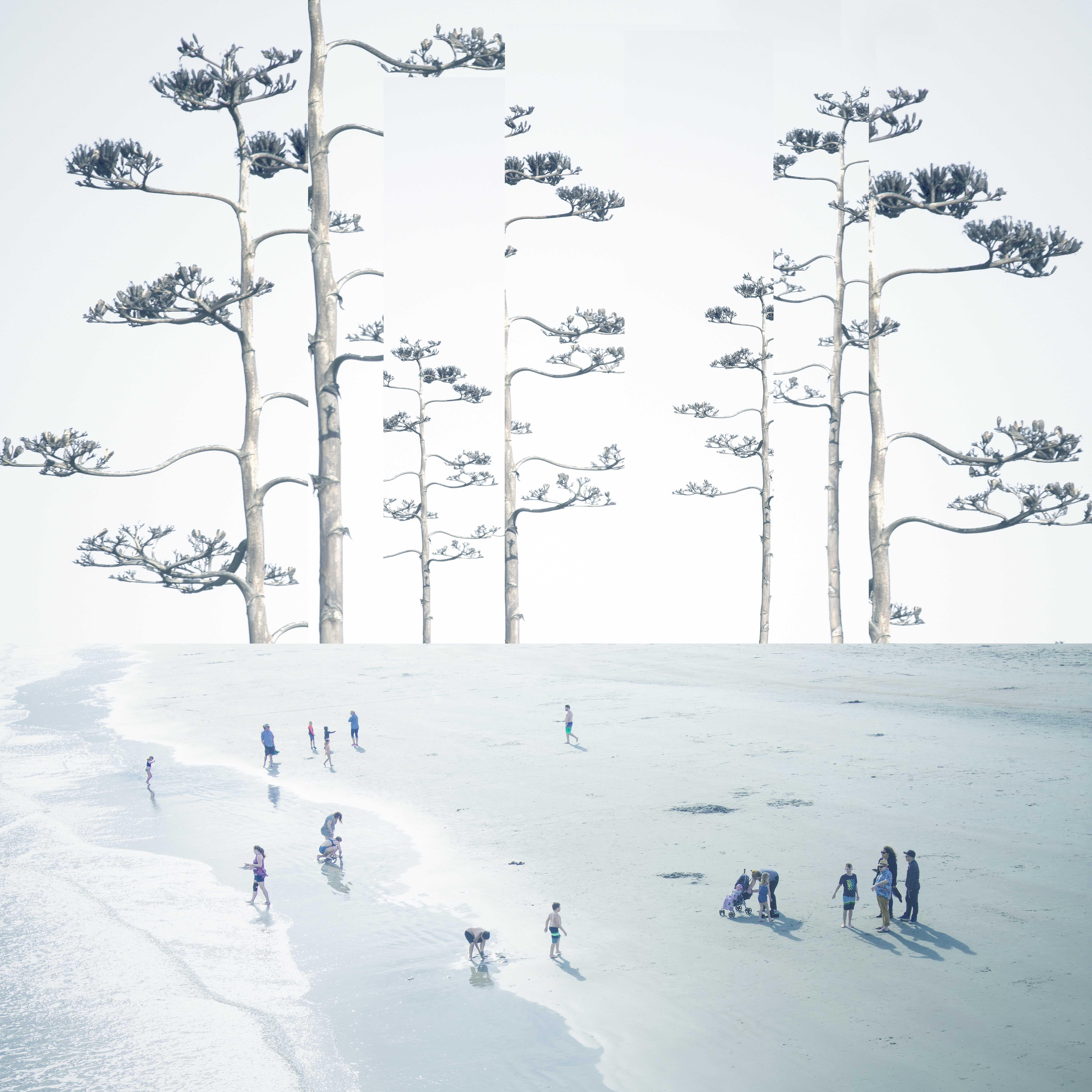 Mark Bartkiw Color Photograph – Sanctuary - Strand, Bäume, Menschen, abstrakt, manipuliert, Fotografie auf Dibond