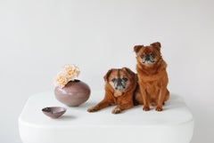 Vaso in porcellana Mark Bell