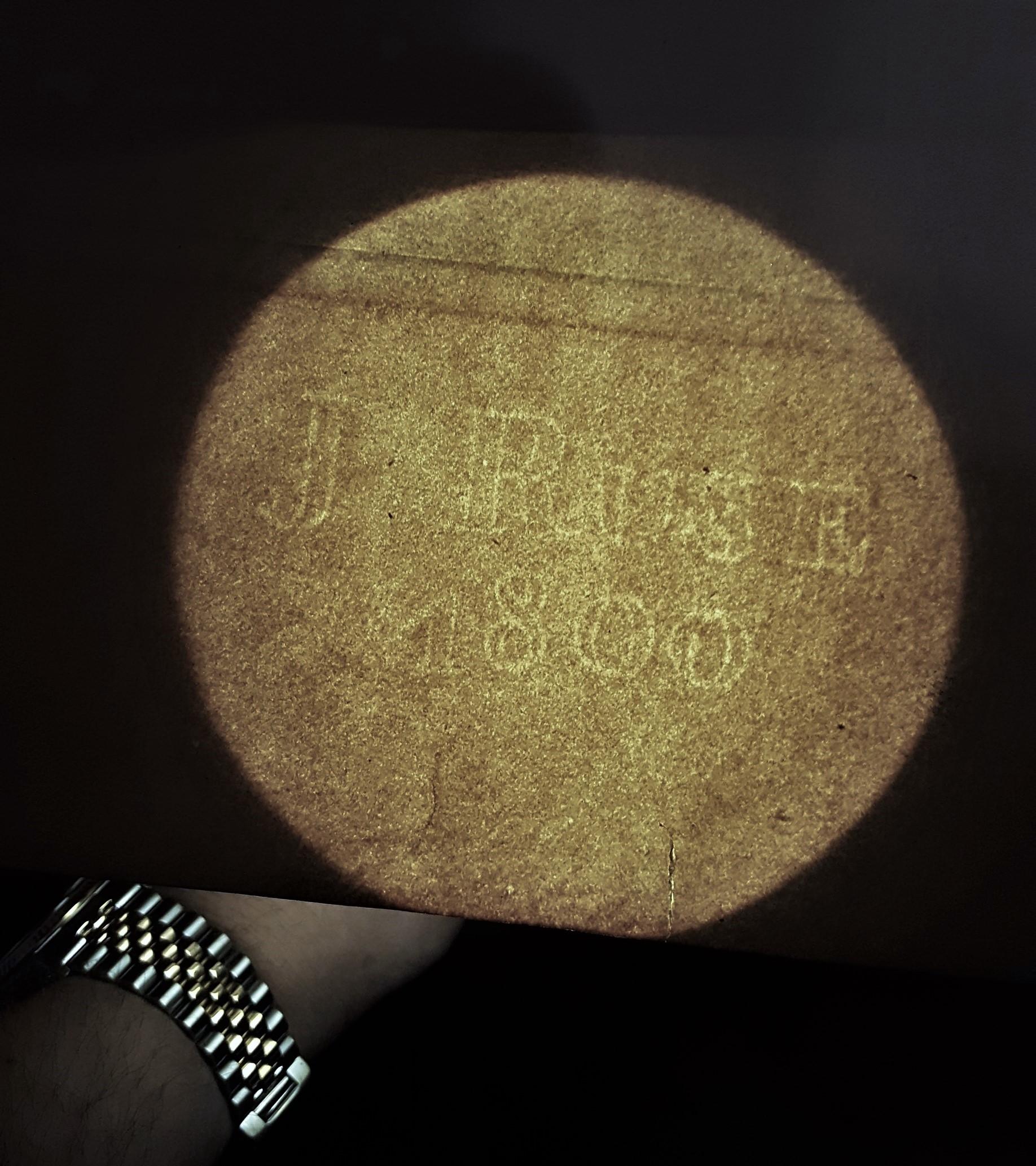 Putorius & Pseudo Phalangium (The Pole-Cat) (Skunk) /// Mark Catesby Animal Art en vente 18