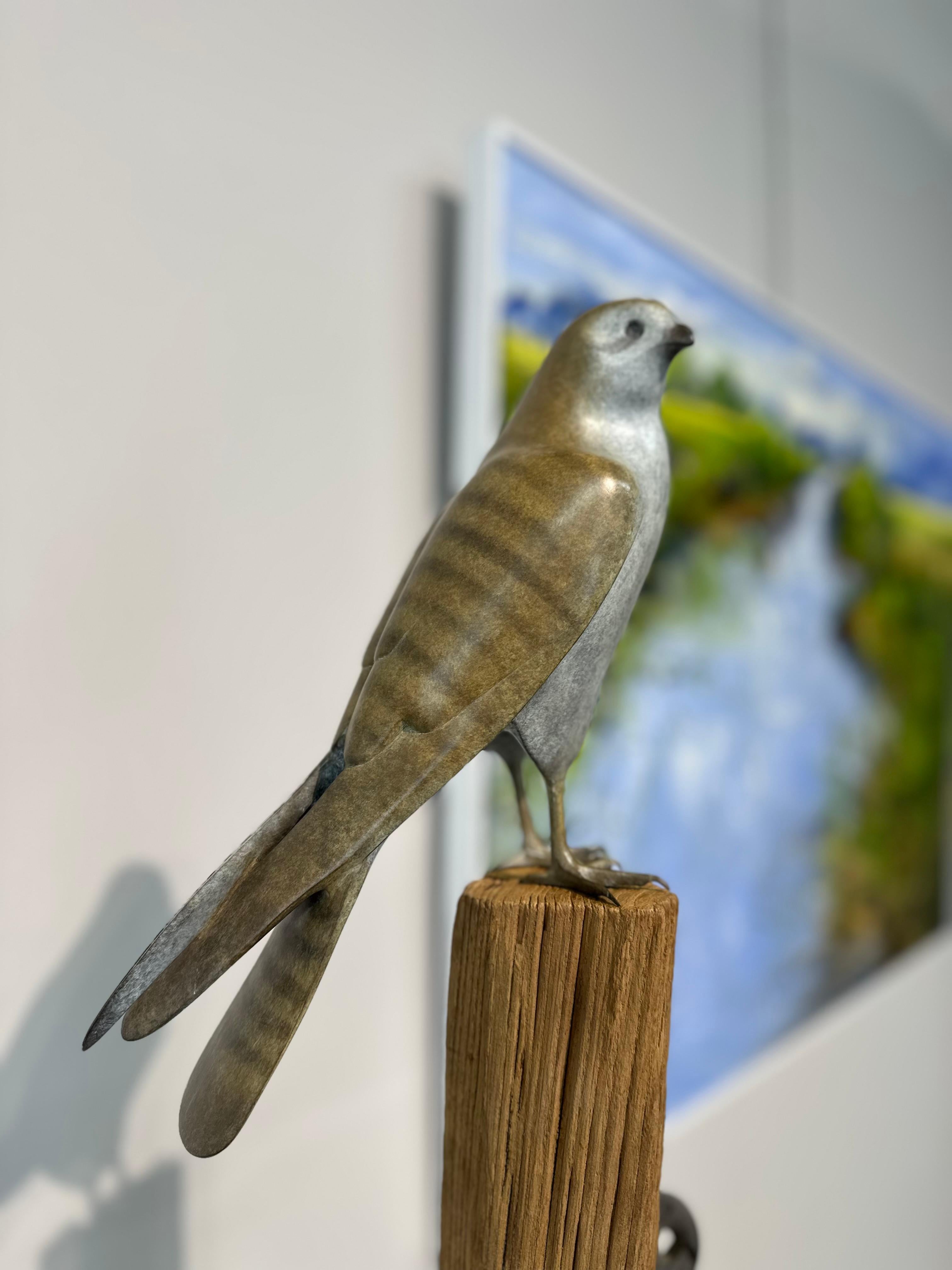 Gheppio ad ali chiuse  - Scultura di bronzo contemporanea del XXI secolo raffigurante un uccello - Figurative Sculpture Oro di Mark Dedrie