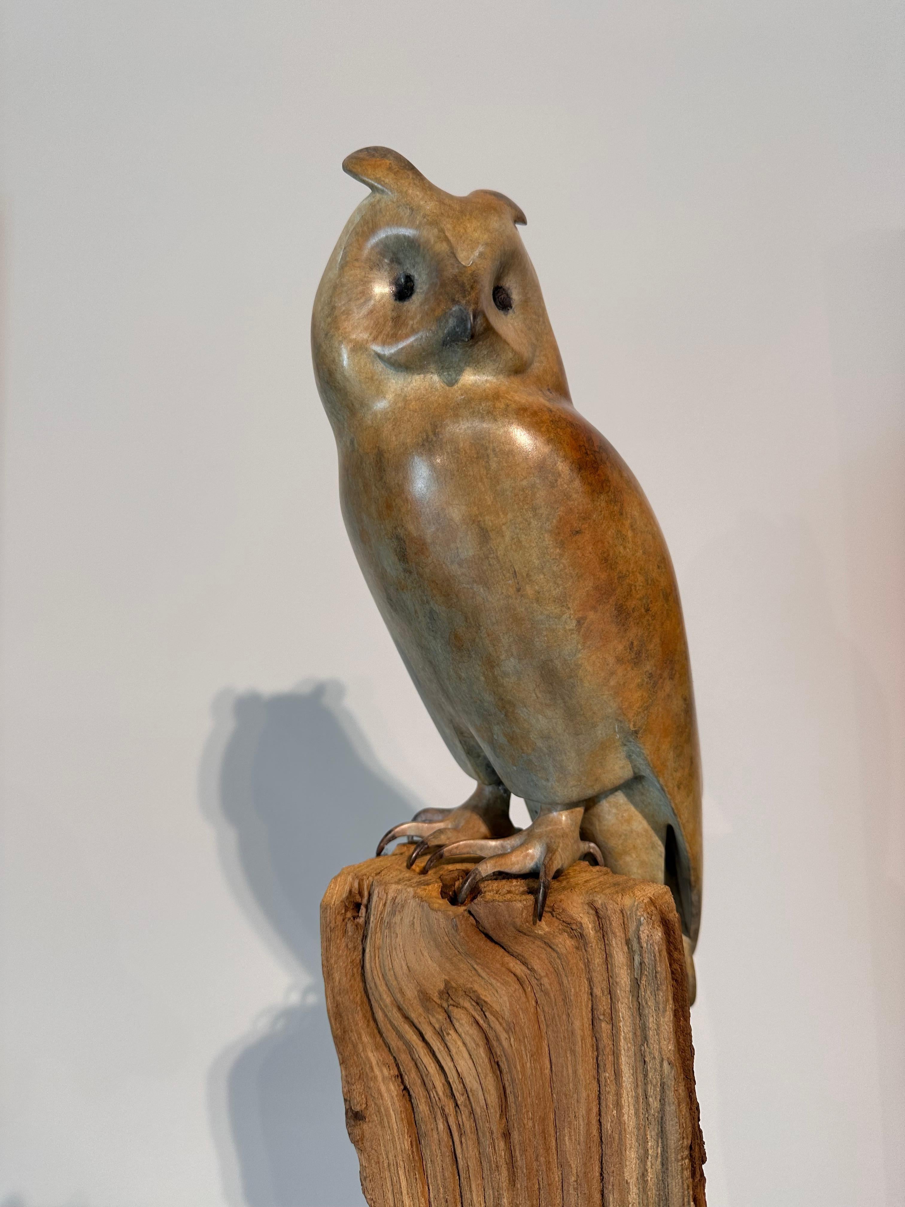 Gufo dalle orecchie lunghe  - Scultura in bronzo contemporanea del 21° secolo raffigurante un gufo - Sculpture di Mark Dedrie
