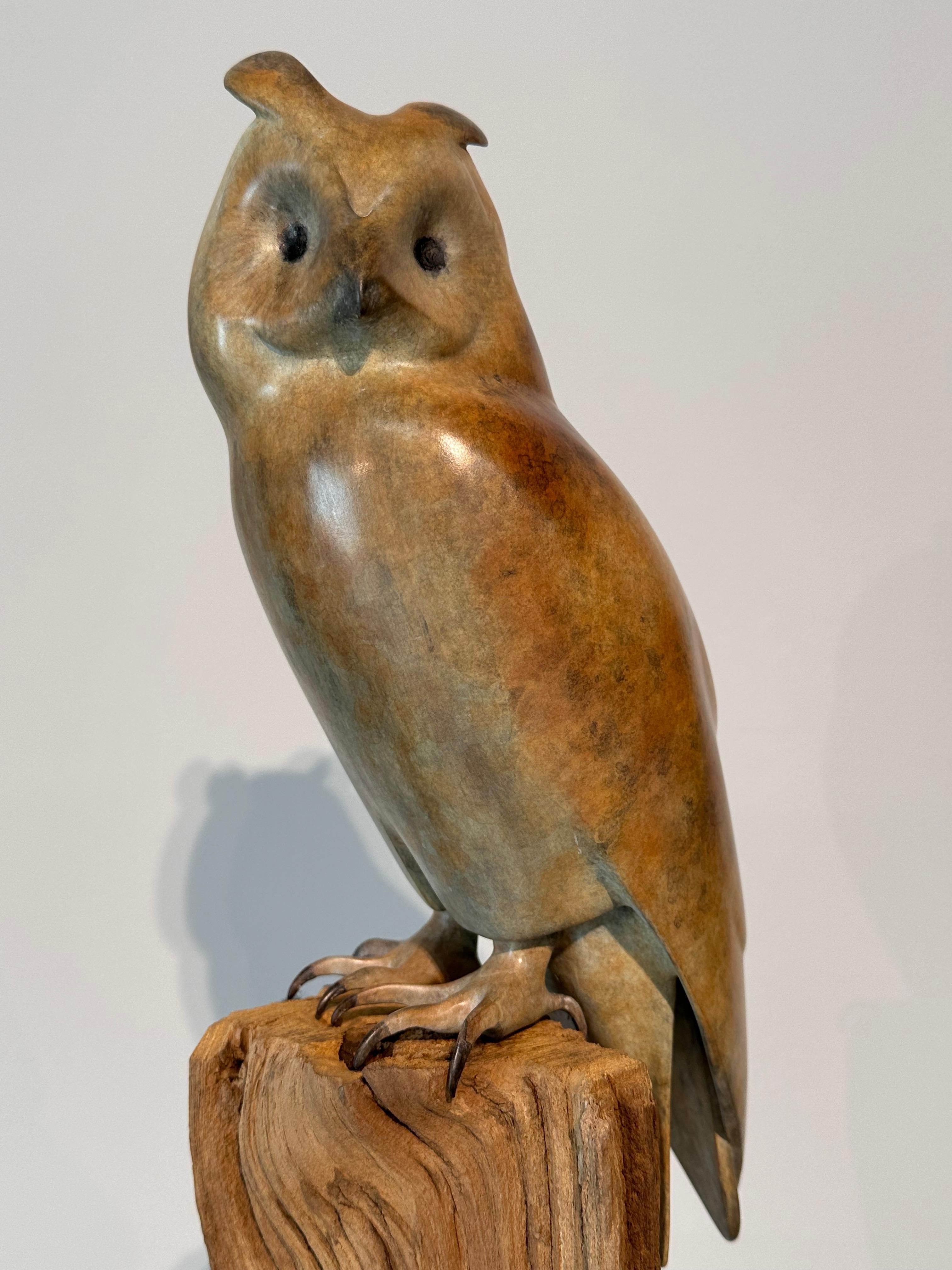 Gufo dalle orecchie lunghe  - Scultura in bronzo contemporanea del 21° secolo raffigurante un gufo - Sculpture Contemporaneo di Mark Dedrie