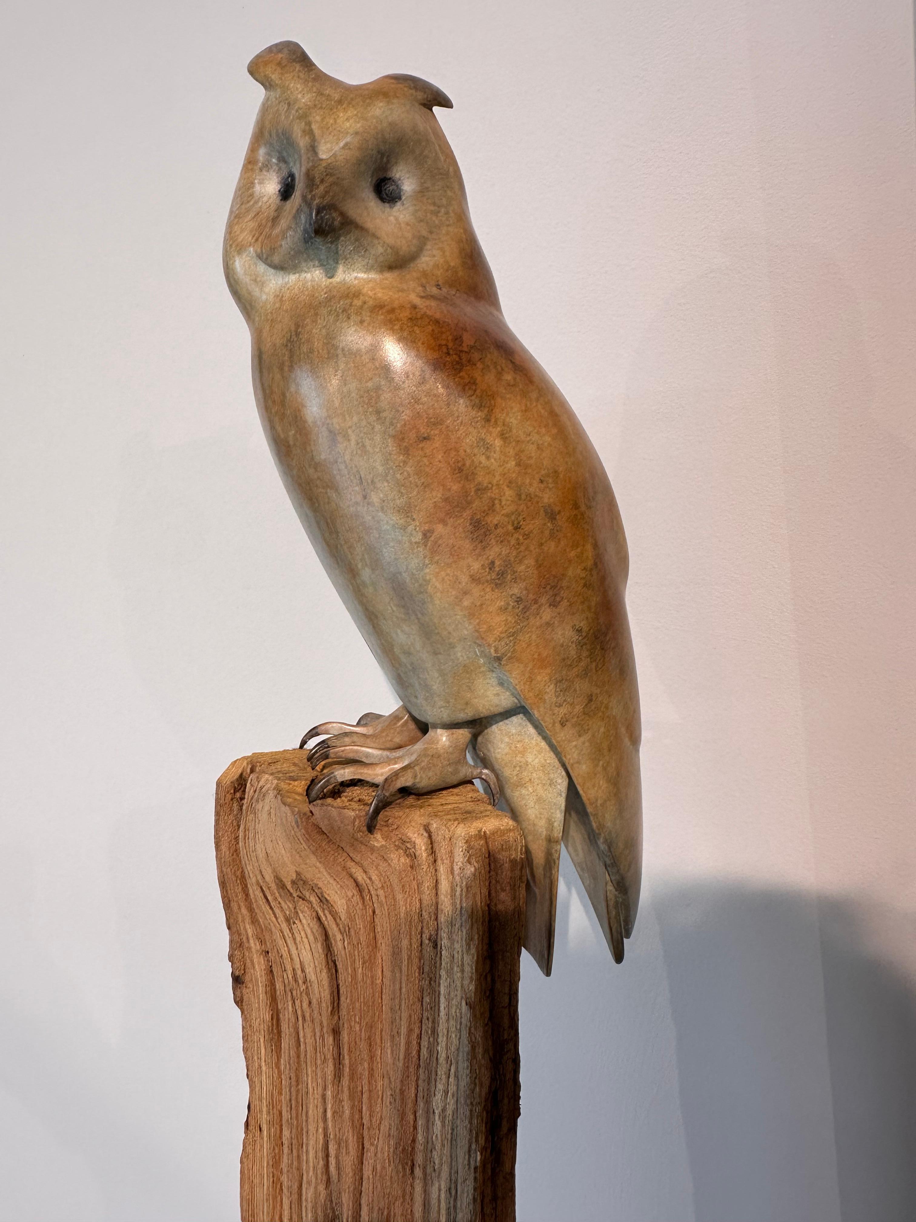 Mark Dedrie
Gufo dalle orecchie lunghe II
Scultura in bronzo
Altezza bronzo 40 x 17 x 12 cm 

L'artista belga Mark Eleg è famoso a livello internazionale per le sue eleganti sculture in bronzo, in particolare di animali e uccelli. Iniziando la sua