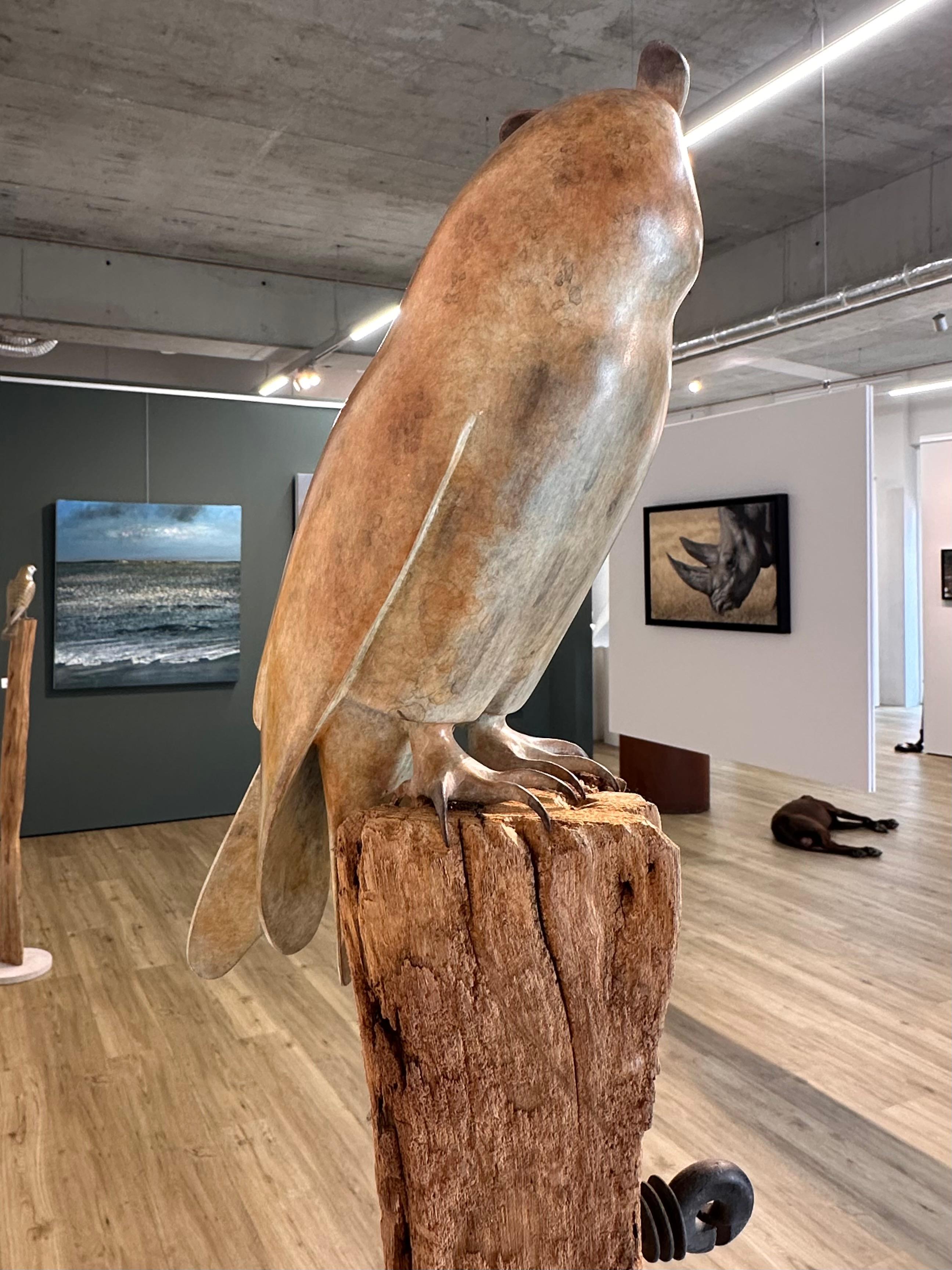 Gufo dalle orecchie lunghe  - Scultura in bronzo contemporanea del 21° secolo raffigurante un gufo in vendita 3