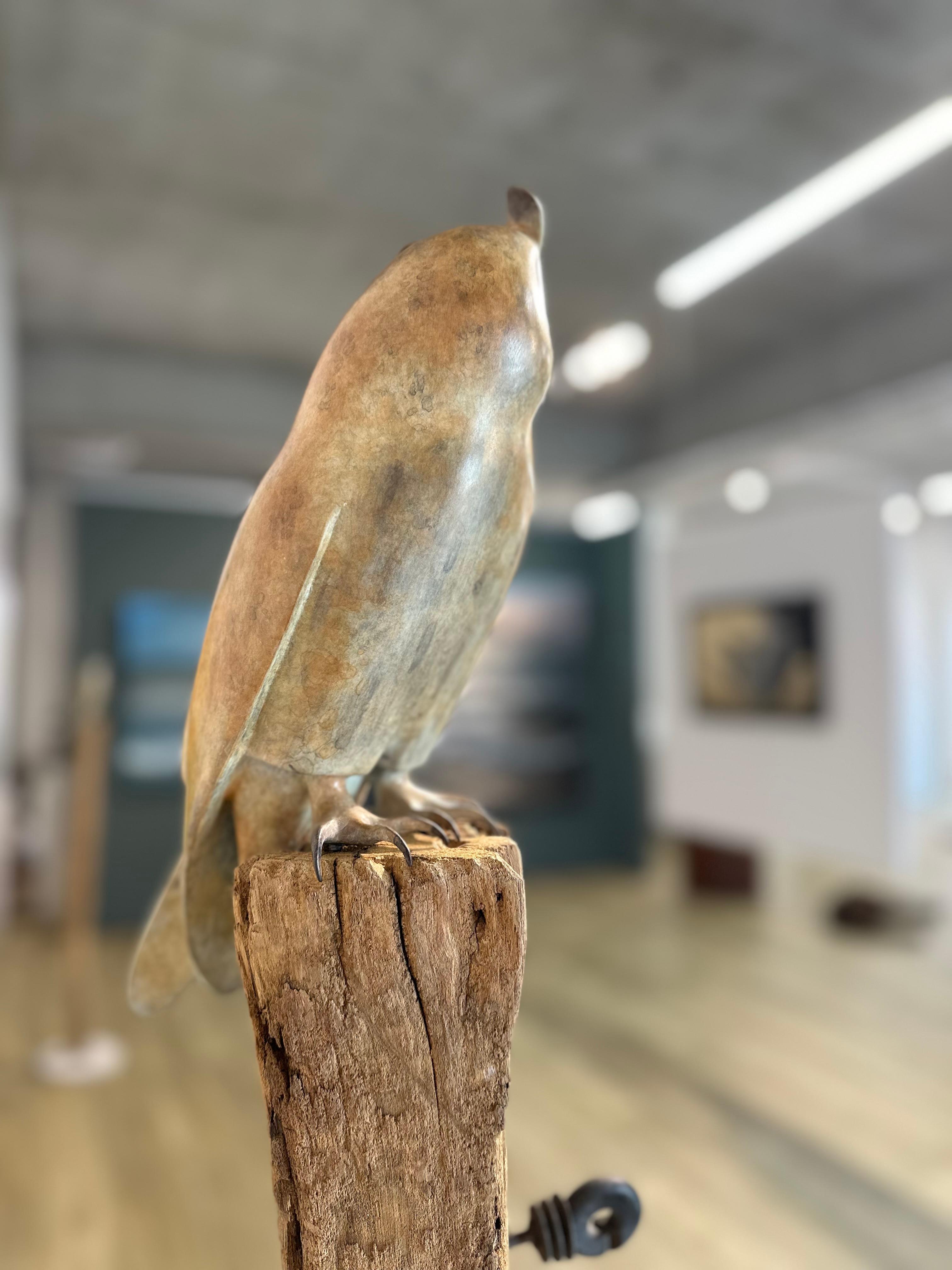 Gufo dalle orecchie lunghe  - Scultura in bronzo contemporanea del 21° secolo raffigurante un gufo in vendita 4