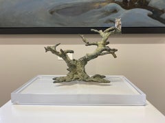 Time to Reflect - 21st Century Contemporary Bronze Sculpture of an Owl