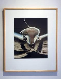 "Book 01", Framed Photography, Digital Print