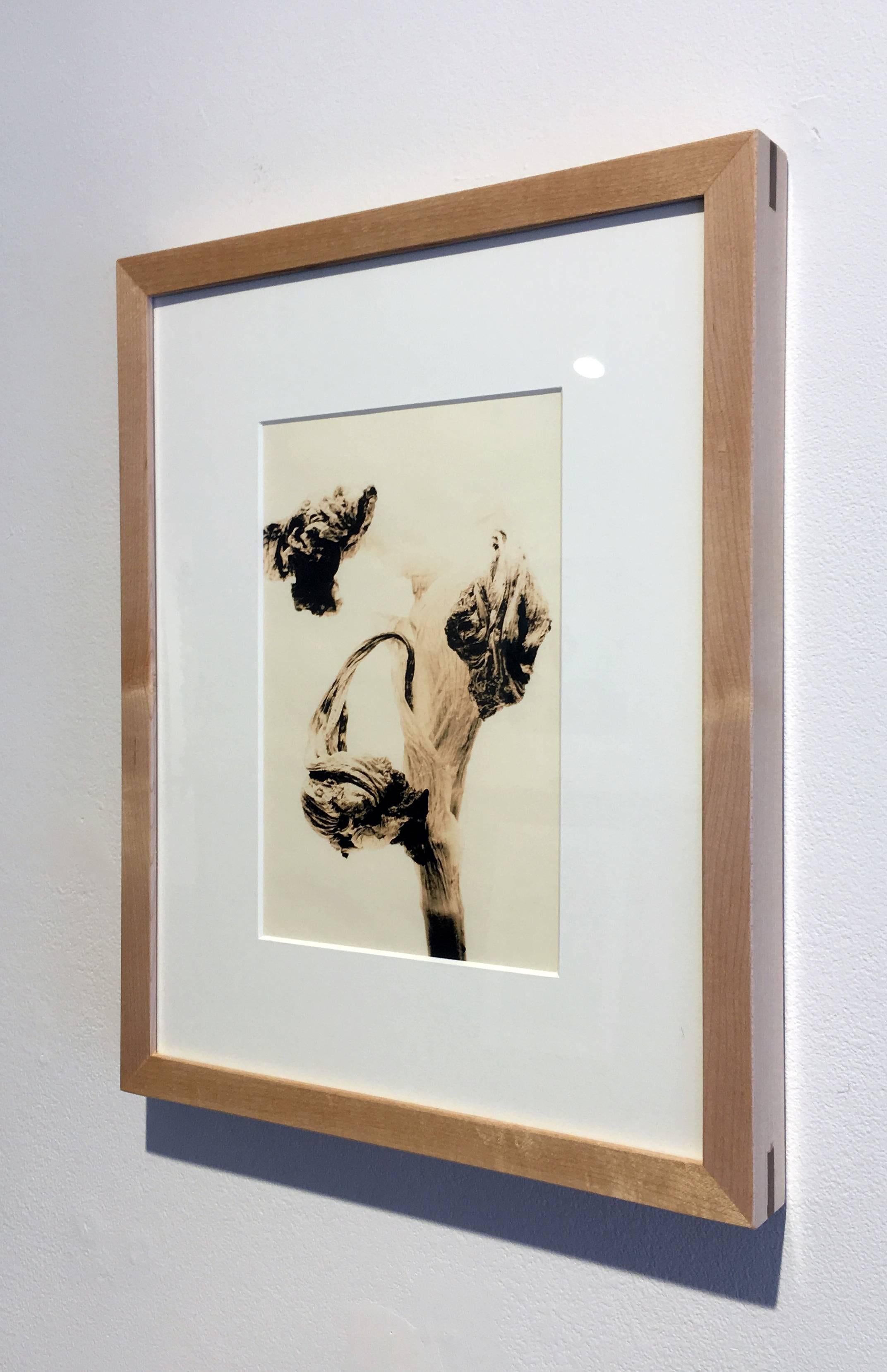 "Flora 6", Framed Lith Processed Silver Gelatin Print - Photograph by Mark Douglas