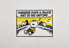 Sunshine Plays A Major Part In The Daytime