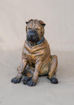 Shar Pei