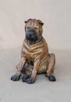 Shar Pei