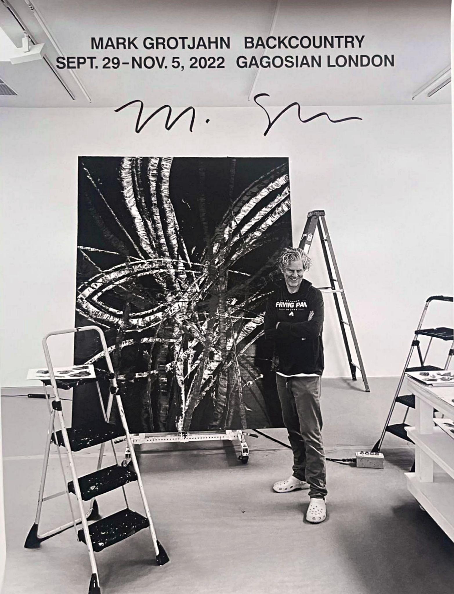 Backcountry, mostra della Gagosian Gallery di Londra stampa firmata a mano da Mark Grotjahn