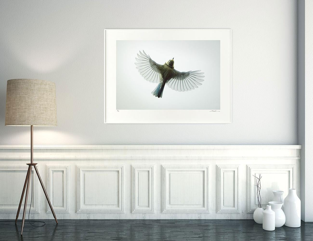 Bird's-Eye View von Mark Harvey 24