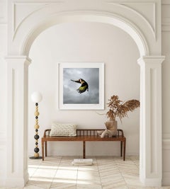 Jilguero de Mark Harvey 40" x 40" Sólo impresión fotográfica tipo C