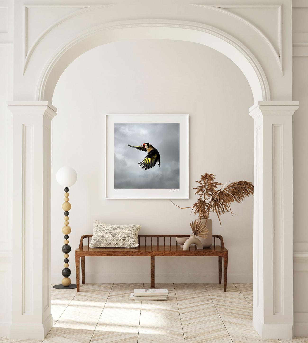 Goldfinch is part of the In Flight collection, a series of portraits of the wild birds taken in the gardens of Mark Harvey's home in Norfolk, England.

What could be more eye catching than the red, black and yellow colours of the goldfinch? One of