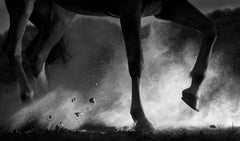 Black and White Photography