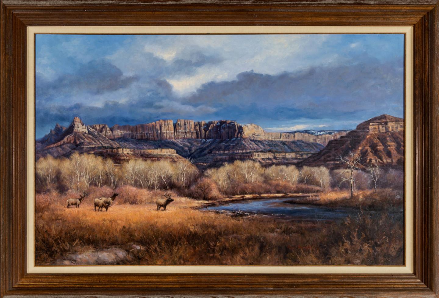 "ELK CANYON" Dimensioni della cornice: 38 x 56 MARK HAWORTH PAESAGGIO 1984