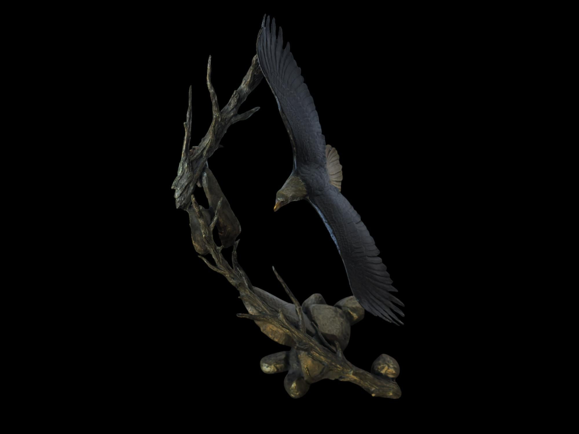 Eagle in Flight For Sale 1
