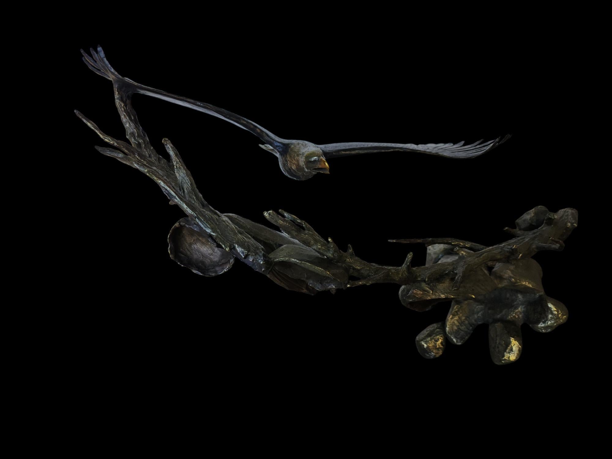 Eagle in Flight For Sale 2