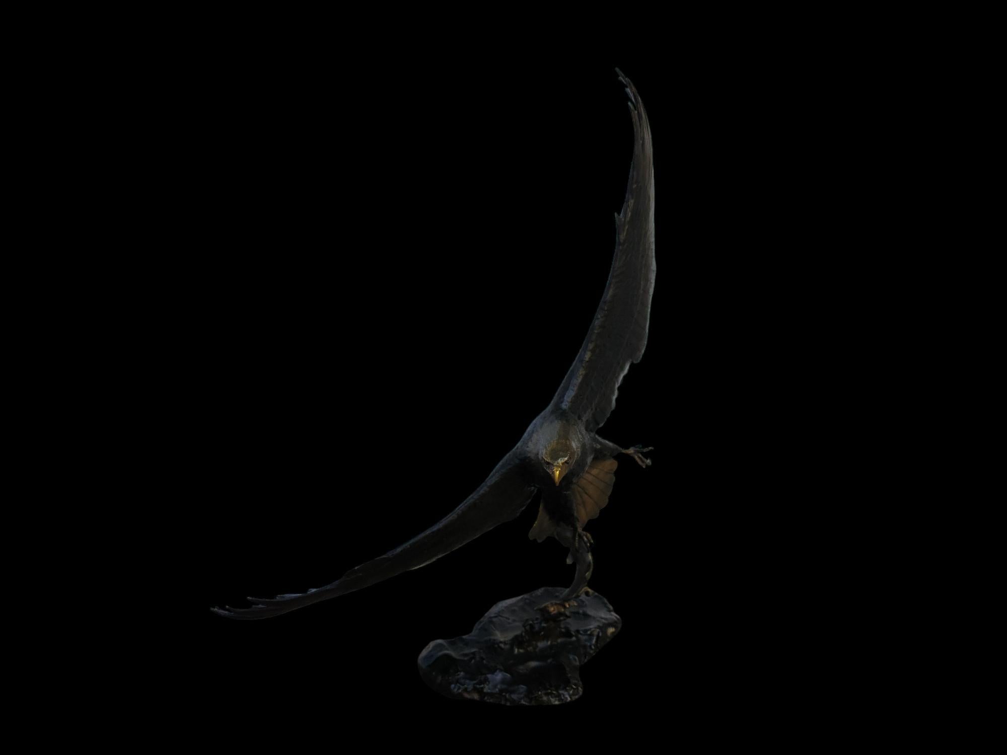 Capture des aigles en vente 1
