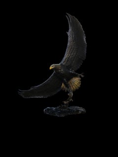 Eagles Catch
