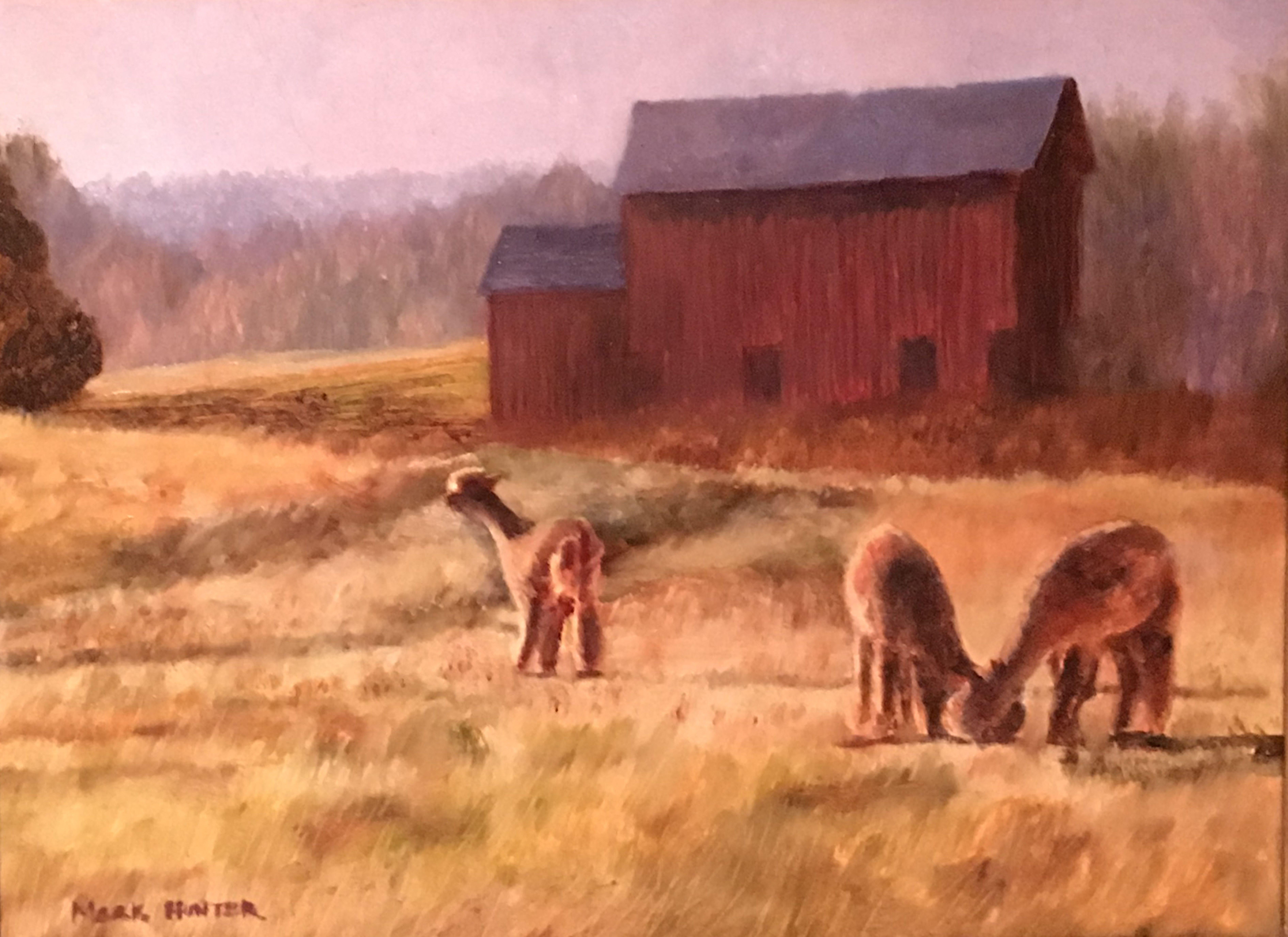 Alpaca's graze in the late afternoon light on a farm in the Rockaway Valley section of Boonton Township. :: Painting :: Realism :: This piece comes with an official certificate of authenticity signed by the artist :: Ready to Hang: Yes :: Signed: