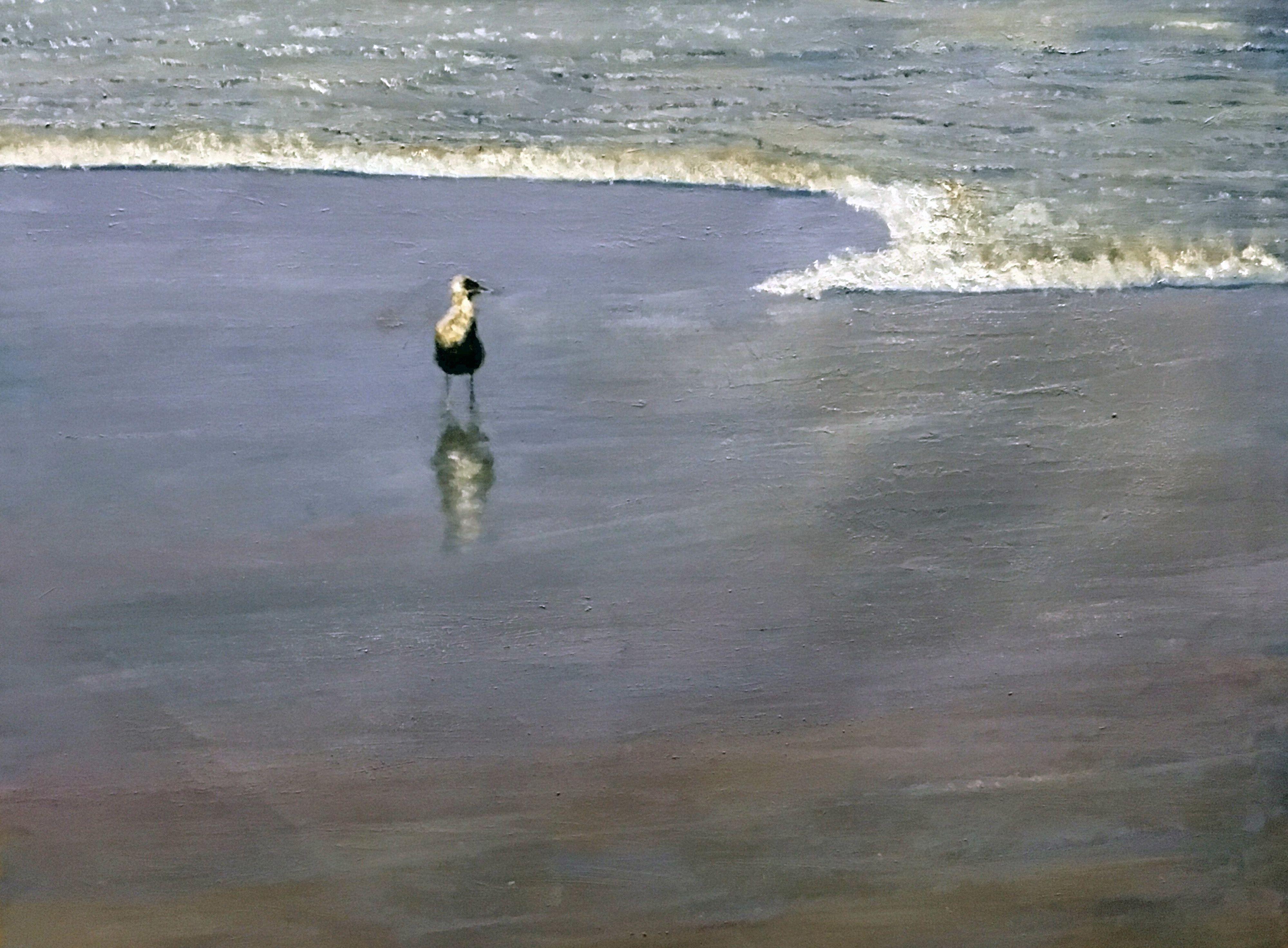 A seagull in the surf at the beach. :: Painting :: Realism :: This piece comes with an official certificate of authenticity signed by the artist :: Ready to Hang: No :: Signed: Yes :: Signature Location: Lower Right :: Canvas :: Landscape ::